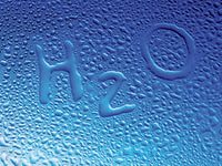 Чем полезна простая вода?