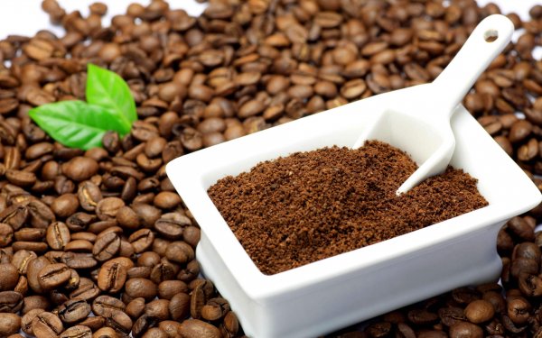 Кофе: Зерновой или молотый?