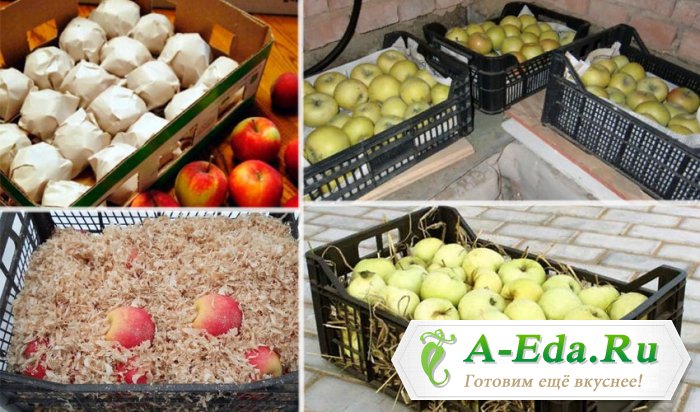 Как лучше хранить яблоки, бананы, огурцы, грибы и груши: в упаковке или без?